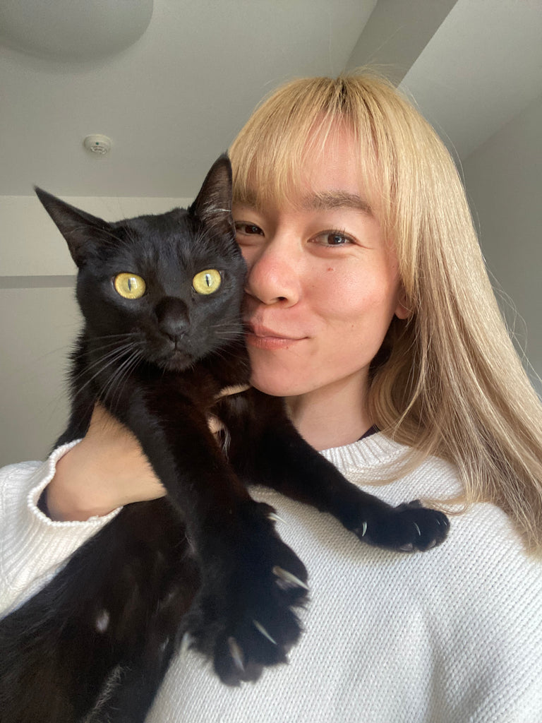 猫はためらわずにノンと言う