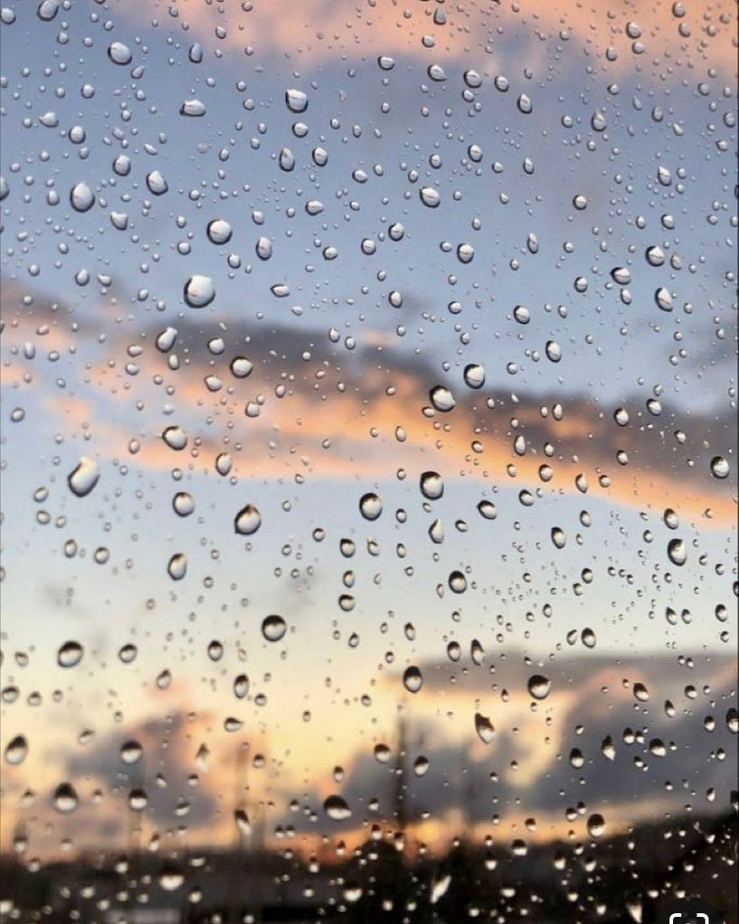雨宿りは横並び