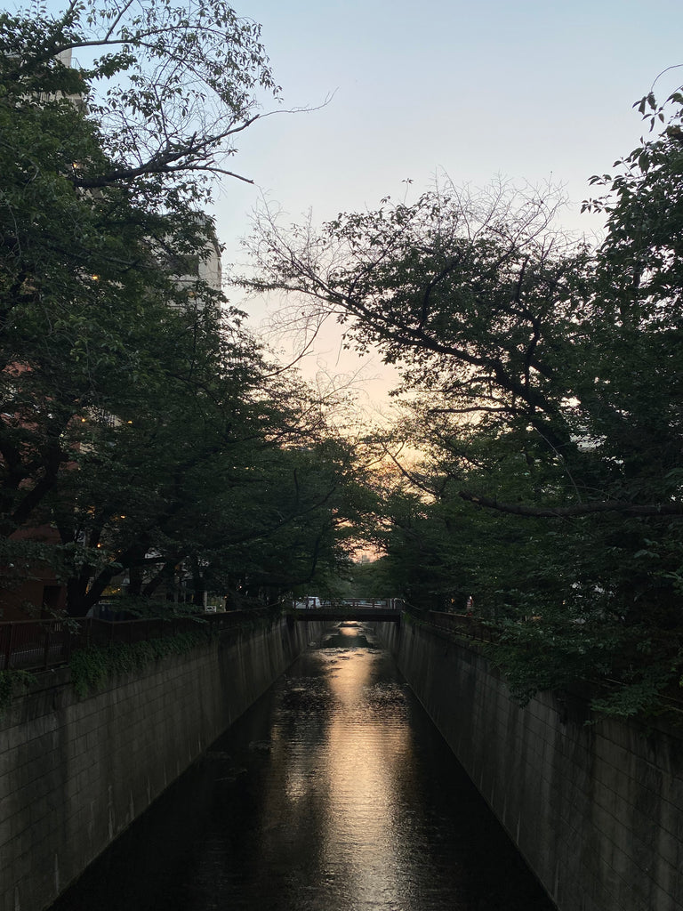 詩をひとつ披露してもいいですか？